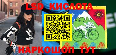 Альфа ПВП Ярославль