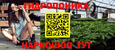 Альфа ПВП Ярославль