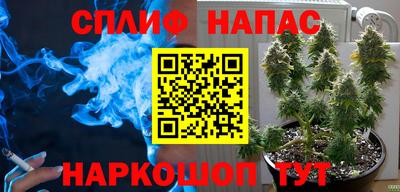ГАЛЛЮЦИНОГЕННЫЕ ГРИБЫ Янаул