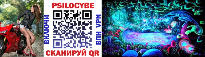 Галлюциногенные грибы Psilocybe  Азнакаево 