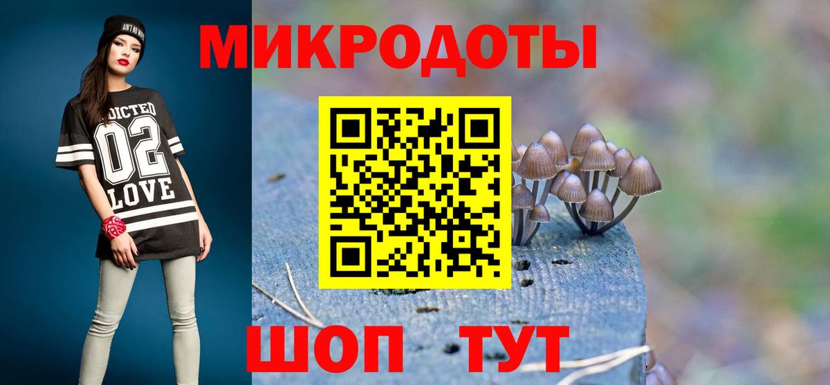 Псилоцибиновые грибы Psilocybine cubensis Азнакаево